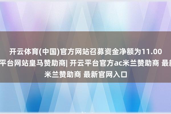 开云体育(中国)官方网站召募资金净额为11.00亿元-开云平台网站皇马赞助商| 开云平台官方ac米兰赞助商 最新官网入口