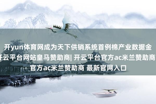 开yun体育网成为天下供销系统首例棉产业数据金钱入表形势-开云平台网站皇马赞助商| 开云平台官方ac米兰赞助商 最新官网入口