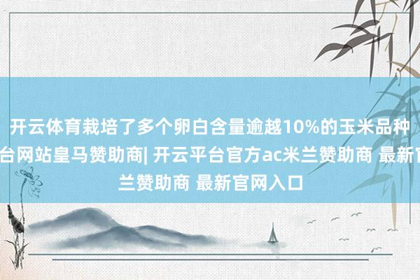 开云体育栽培了多个卵白含量逾越10%的玉米品种-开云平台网站皇马赞助商| 开云平台官方ac米兰赞助商 最新官网入口